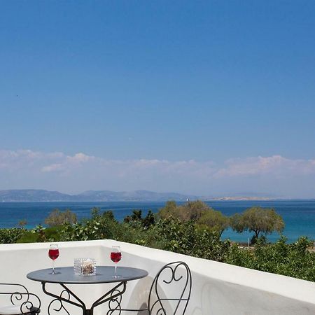 Aneli Luxury Villas-Villa Aegina Buitenkant foto